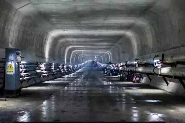 倒计时43天！武汉首条高富帅专列地铁下月就要通车啦！