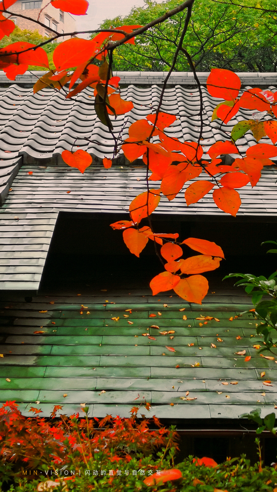 去东京玩用什么攻略,东京攻略东京