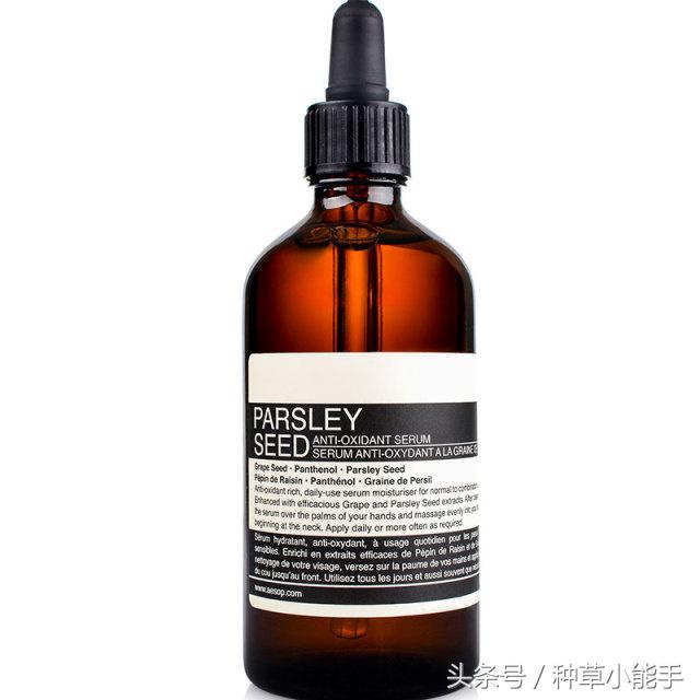 平价不平庸!这12款平价精华拯救吃土的你