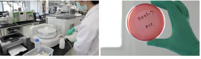 实测21款米粉，硝酸盐超标不能忍！