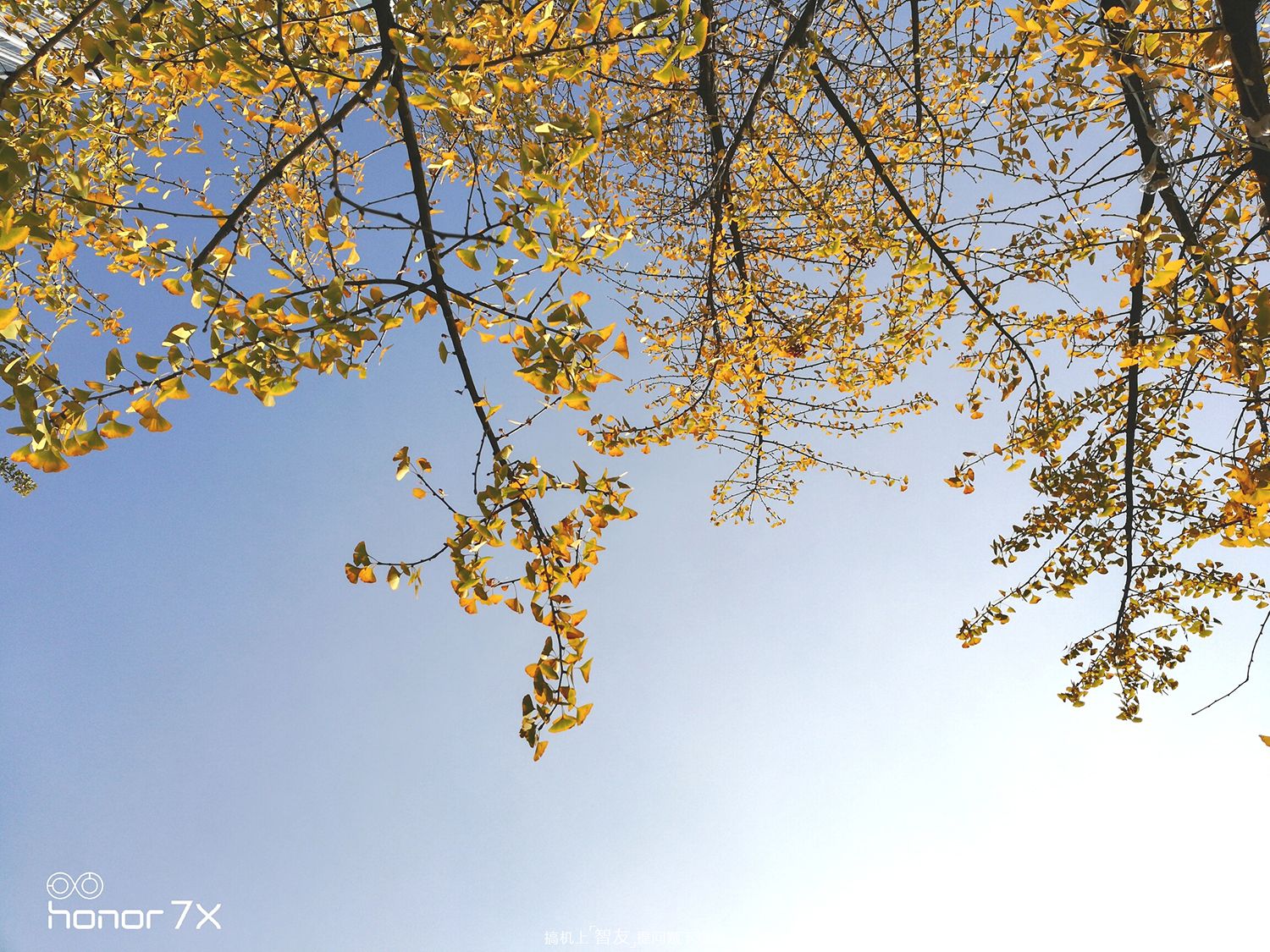 荣耀口碑最好的手机荣耀7x,华为全面屏手机荣耀7x