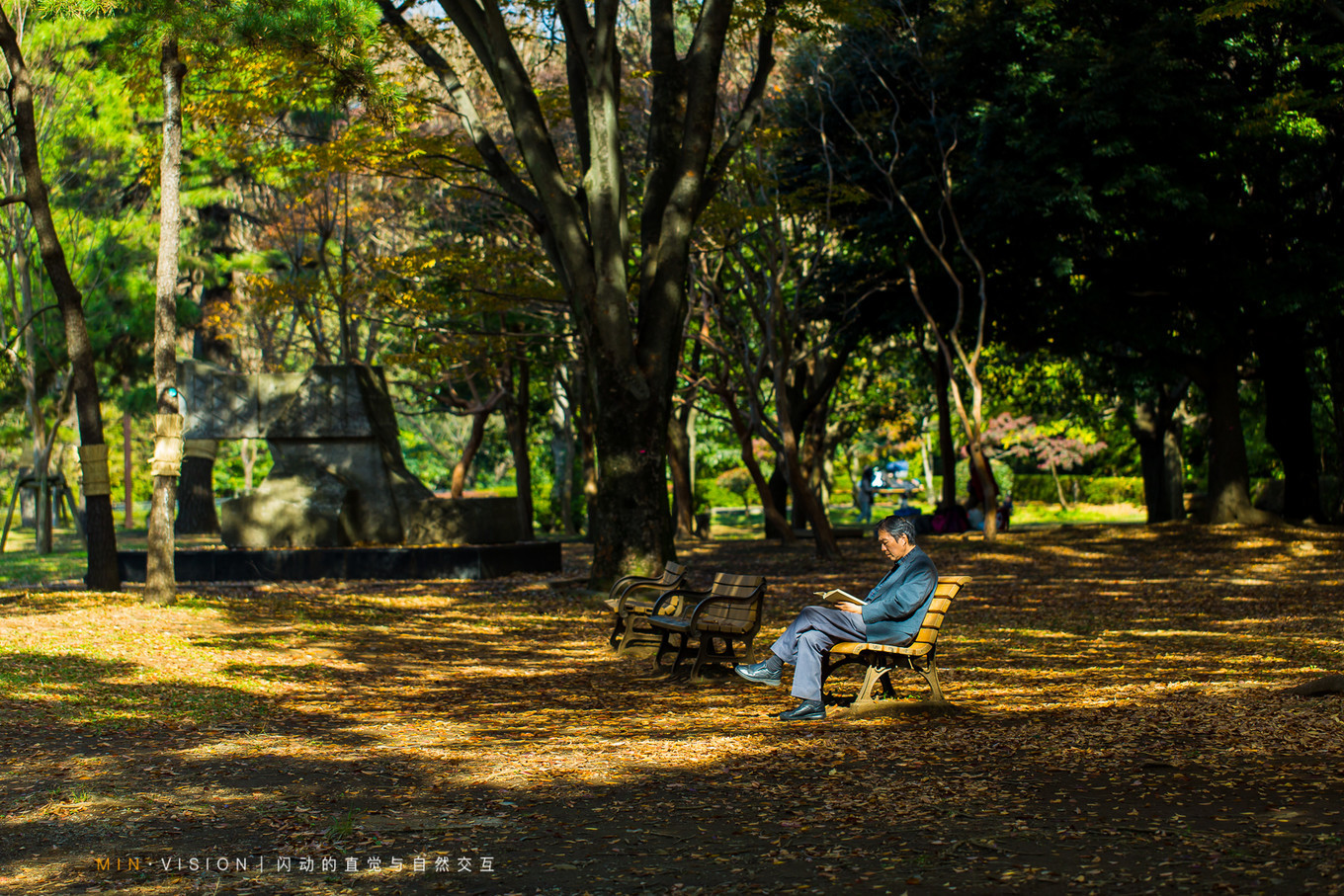 去东京玩用什么攻略,东京攻略东京