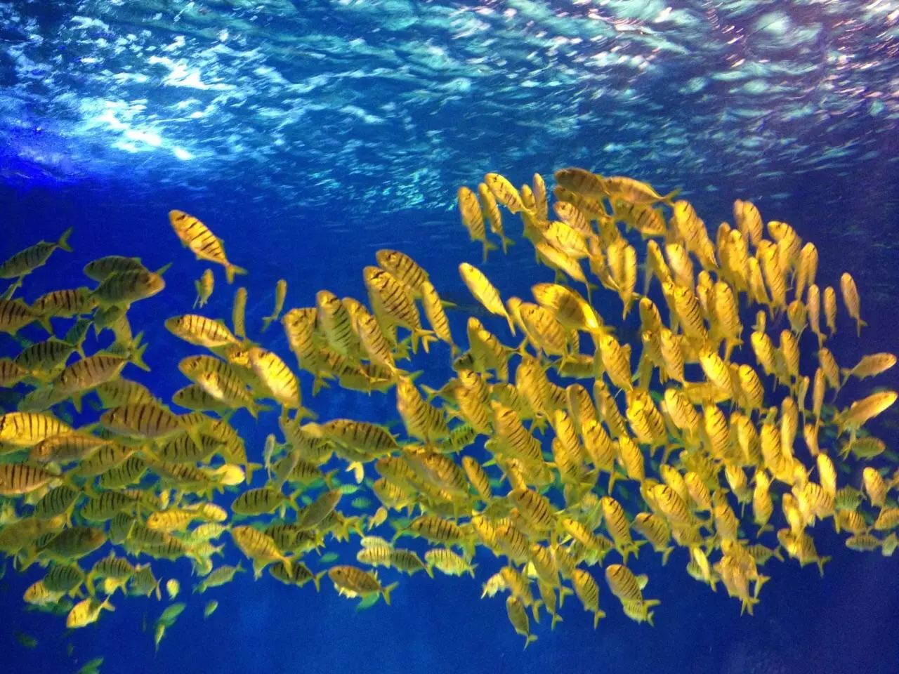 上海各个景点及路线图,上海周边公交车地铁可以到的景点