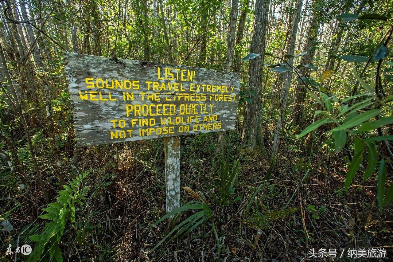 美国三大最佳旅游城市是,美国的奇幻旅游城市