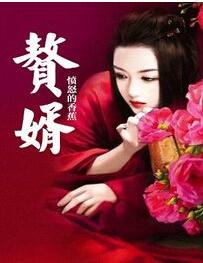 穿越重生高质量古代言情经典小说,网络穿越小说十大名作