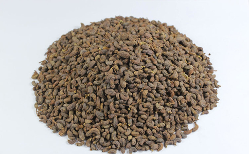 蛇床子的5个功效及药用价值