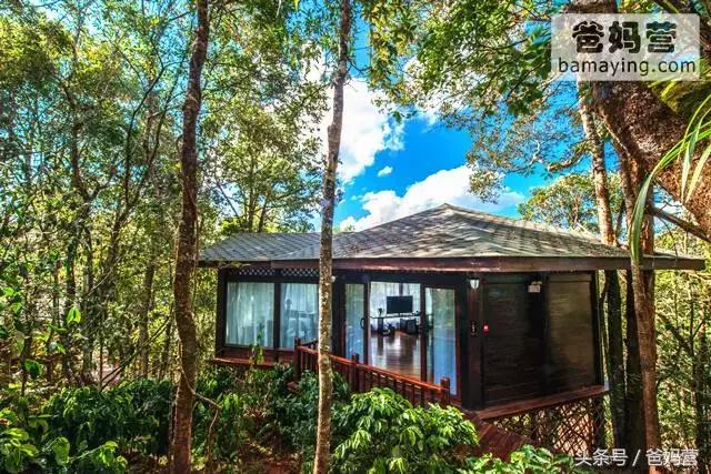 江浙沪十佳亲子酒店,适合亲子酒店推荐