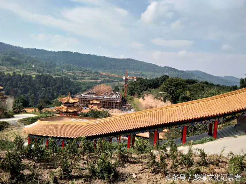 陕西黄龙绿皮核桃,延安市黄龙核桃