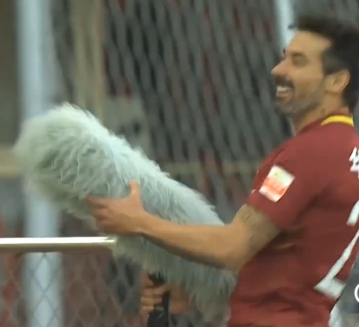 拉维奇第二次丢点球,拉维奇凌空打门