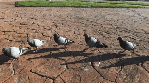 我再也不跟奇(S)葩(B)去旅行了