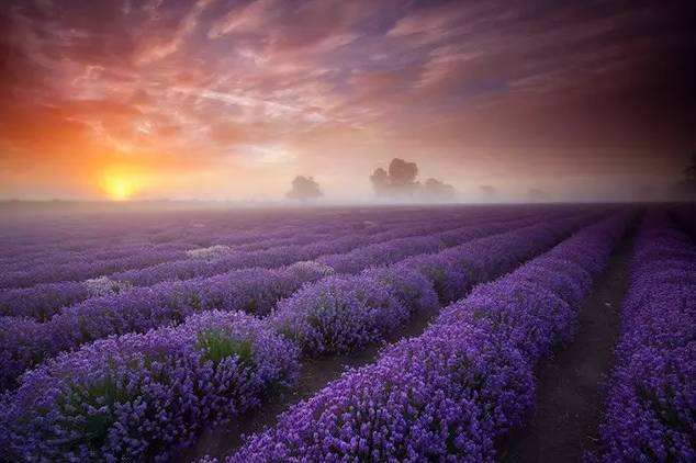 临沂人旅游攻略,临沂人清明去哪玩