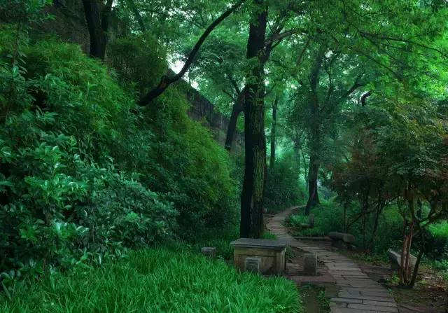 北京到香港高铁深度体验,北京到香港高铁什么时候开通