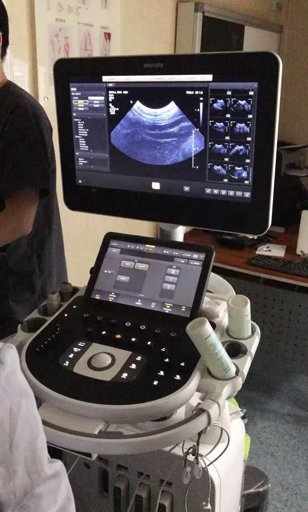 中国为什么没有正规的宠物医院,国内靠谱的宠物医院