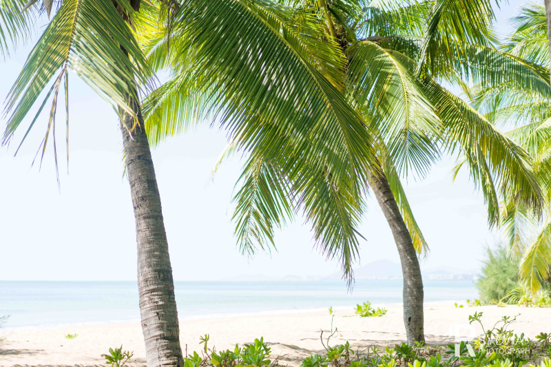 春节去三亚避寒攻略,冬天来三亚避寒