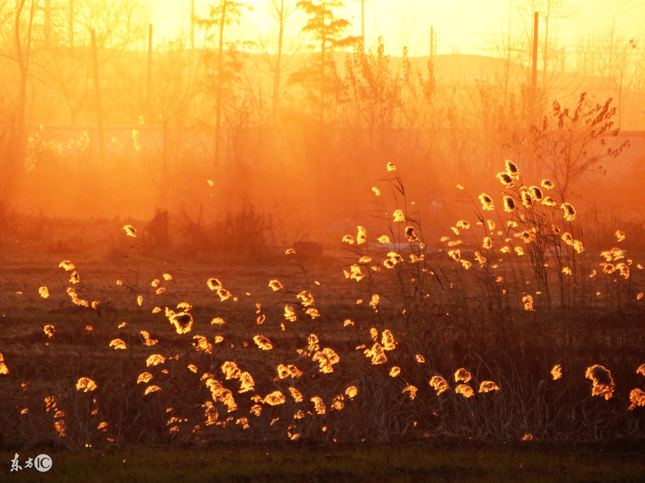 《江月》连载：他坏坏的，还精神分裂，却悄悄夺走了她的心！