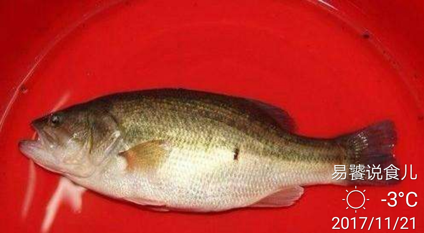 正宗酸菜鲈鱼的做法步骤视频,鲈鱼酸菜水煮鱼片的家常做法