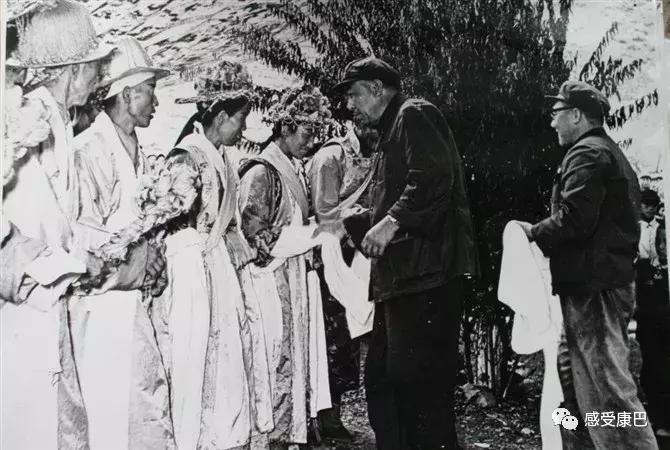 雪山上的红牡丹,藏族雪山上的红牡丹