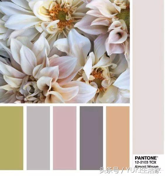 pantone2018,pantone2018年流行色是什么