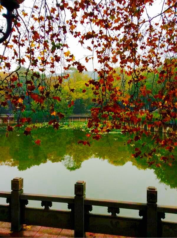 十大最美校园深圳大学,探访最美大学武汉大学