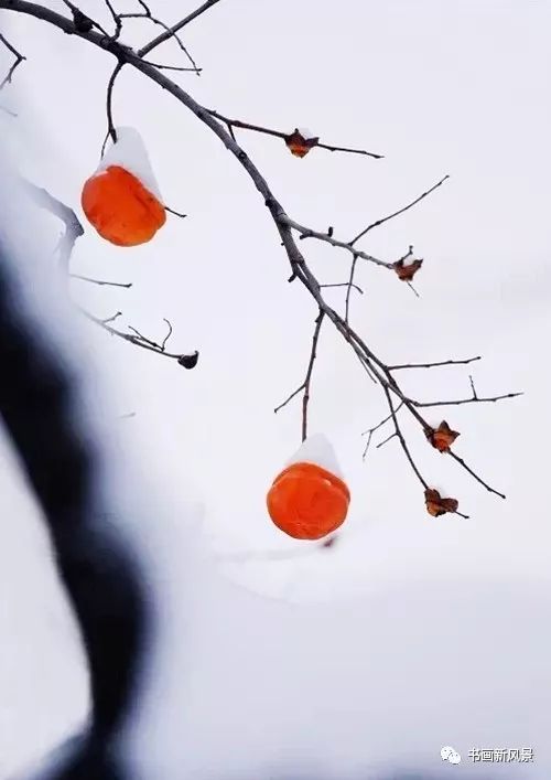 白里透红美颜,白里透红娇颜