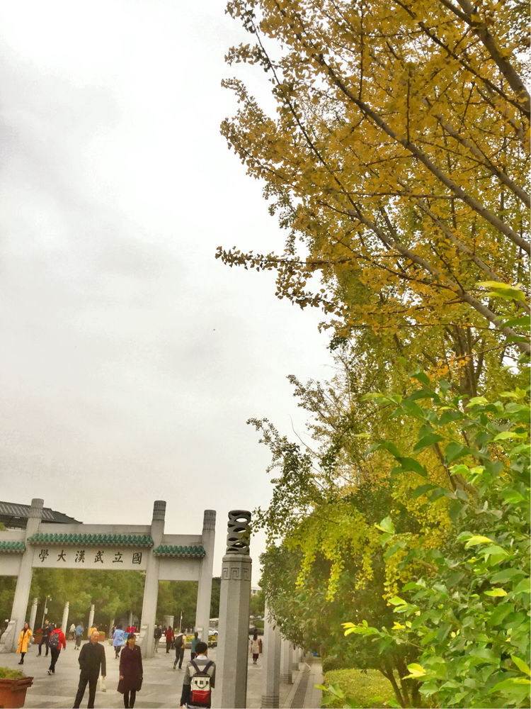 十大最美校园深圳大学,探访最美大学武汉大学