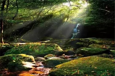 罗浮山逛完去哪里,罗浮山省钱攻略