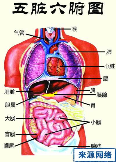 真正的神仙魏晋篇,真正的神仙世界魏晋篇