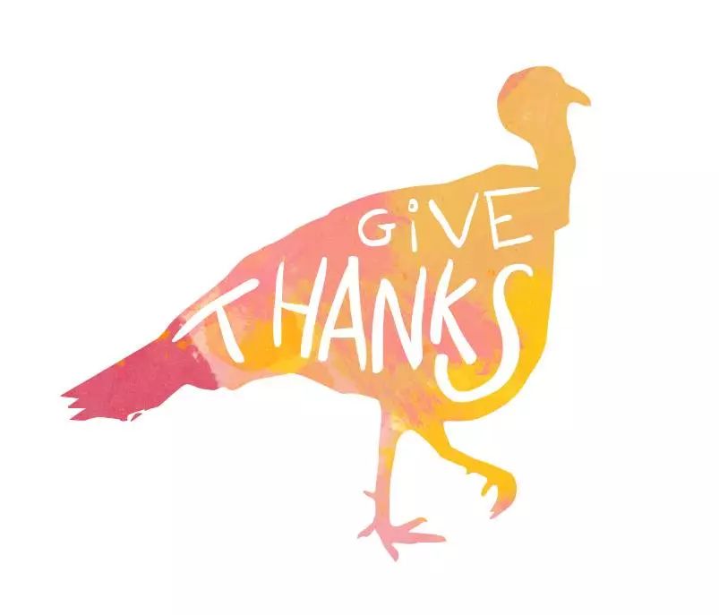 本年度最高性价比护肤单品TOP5｜感恩节帮你省钱省到家