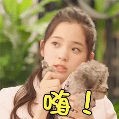 域名后缀不同使用上有什么区别吗,域名地址后的后缀新的含义是什么