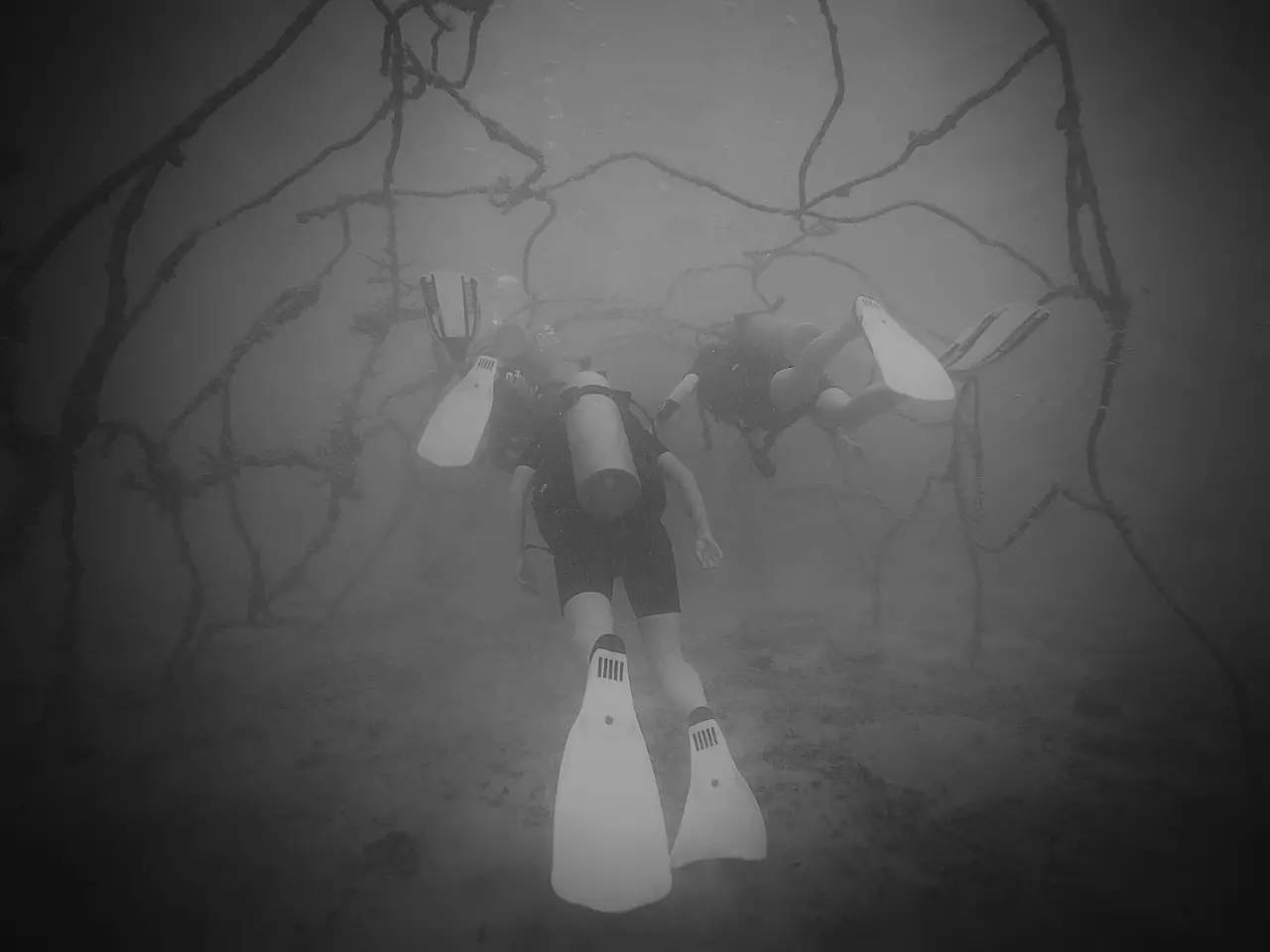 潜水零基础入门教程 (10个简单又可能被忽略的潜水技巧)