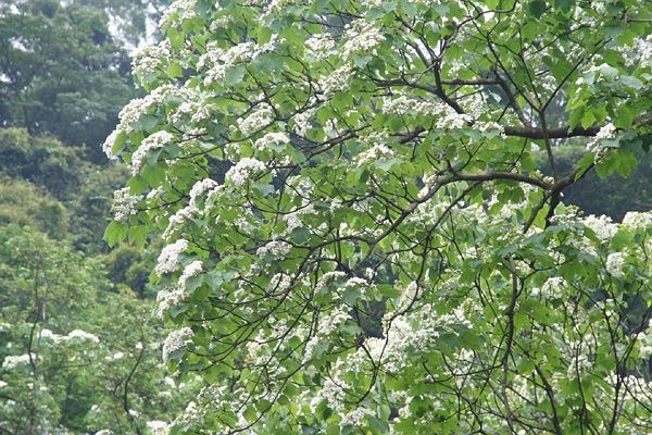 装修设计涂料,家居设计导读