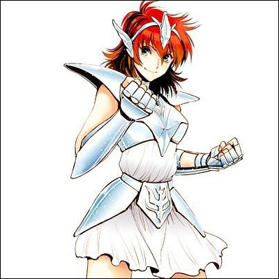 仙女座圣斗士历代圣衣变化 (天马圣斗士圣衣)