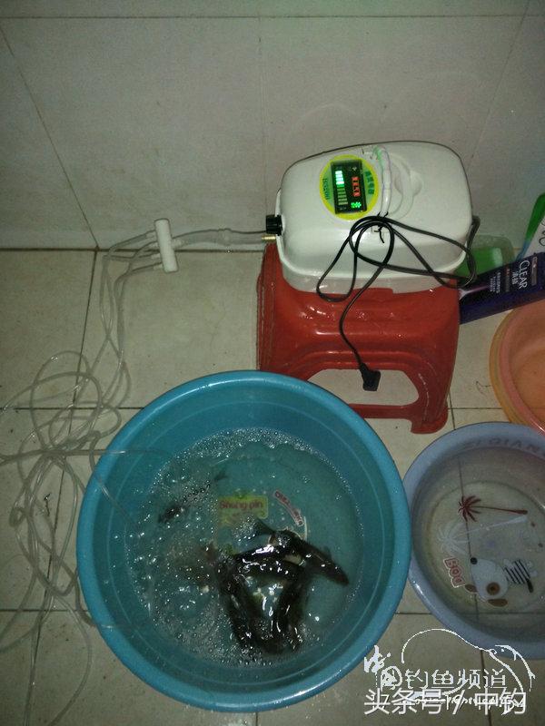 携好友出征私留地天虽冷鱼情很给力