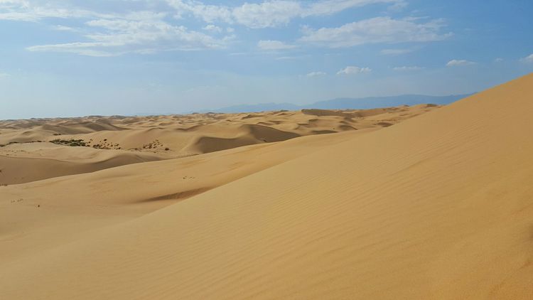 恩格贝沙漠自驾游,走进原始森林房车游记