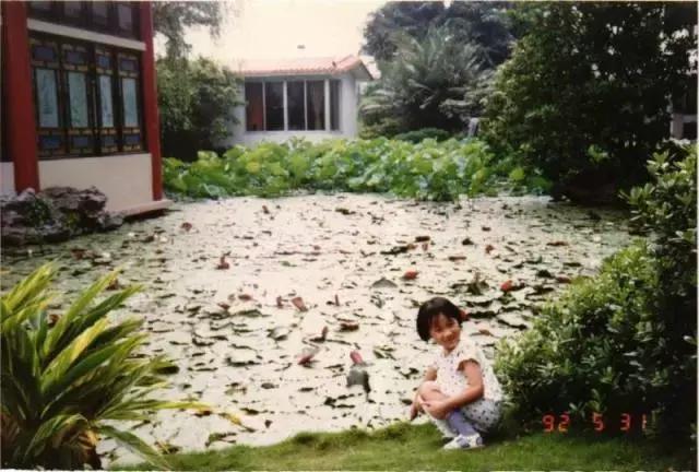 我不信你没在这里拍过照！番禺宾馆陪伴着我们成长