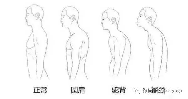 如何告别驼背,不要让驼背影响你的气质