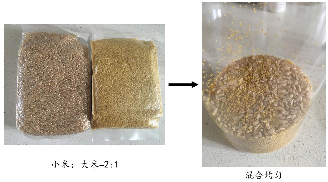 冬钓鲫鱼饵料好还是蚯蚓好用,邱老师冬钓鲫鱼饵料配方视频