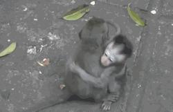 最简单的海淘教程,手把手海淘省钱攻略