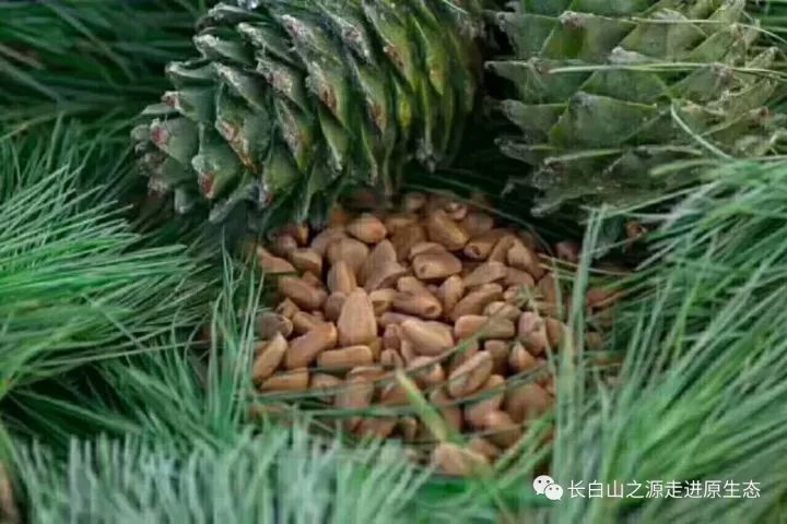 白山地区好的地方特产,白山特产有哪些值得买