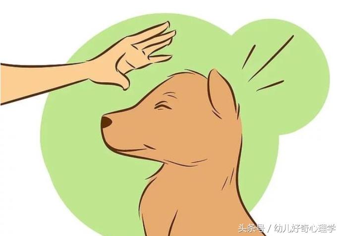 孩子被宠物狗咬伤怎么办,幼儿被宠物咬伤后的处理方法