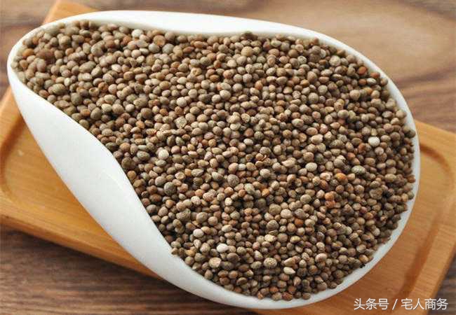 孩子慢性支气管炎痰多食疗方法,慢性支气管炎食疗用什么粥最好