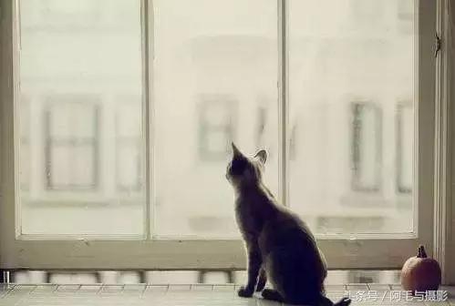 一定要学会独立思考,独立思考最重要的方式