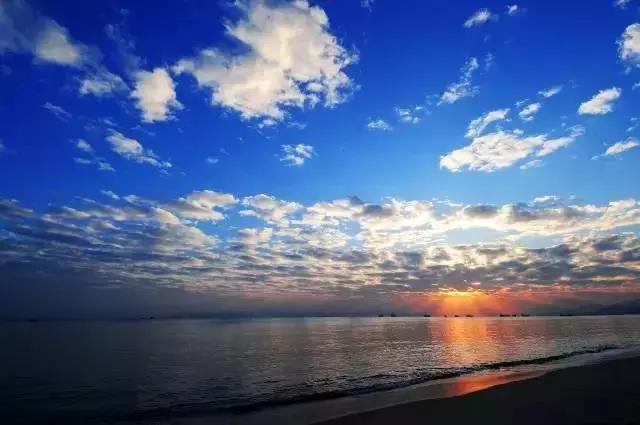 深圳十大打工美女排名表,深圳第一美女简历