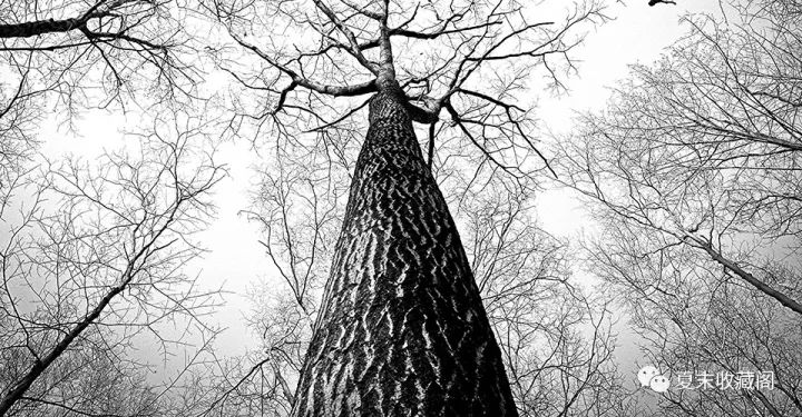 顺便的事啥意思,顺便的事什么意思