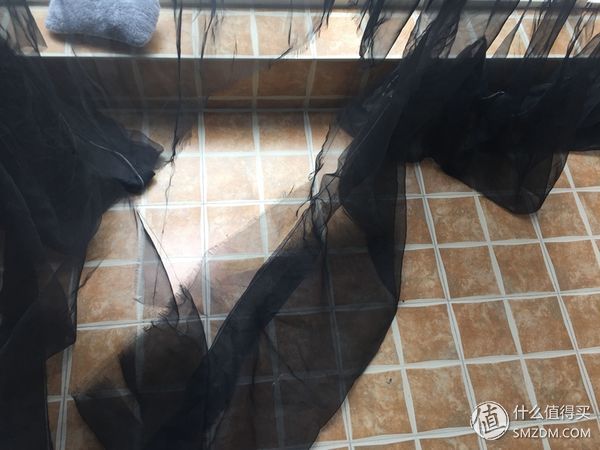 捡到的猫咪要不要归还给原主子,捡到一只流浪猫要注意事项