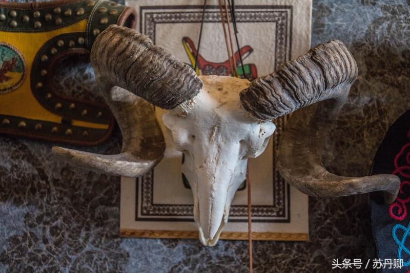 草原散养牛骨头,骨雕是什么骨头做的
