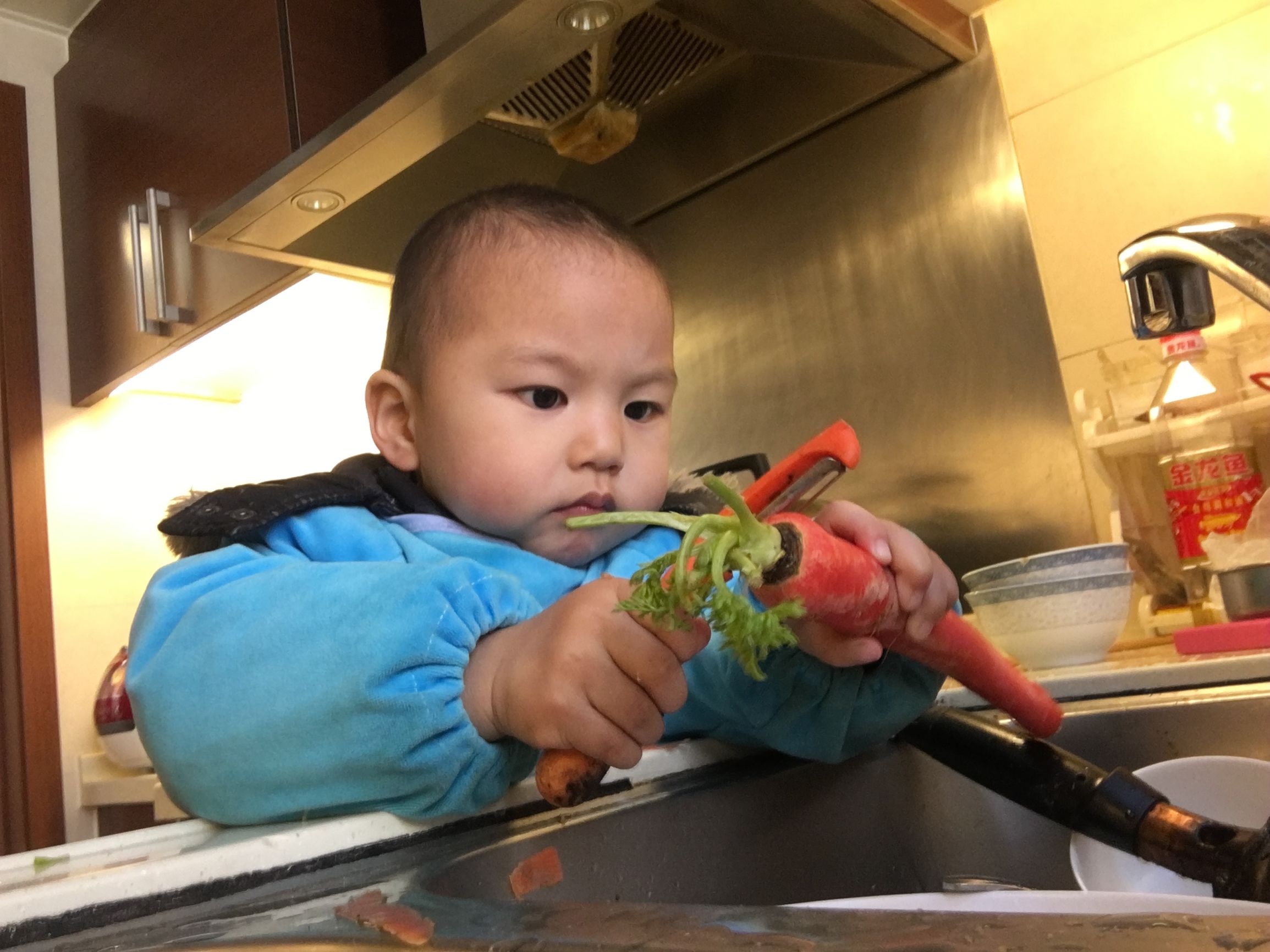 骨头断了能接住吗,骨头断了能接得回来吗