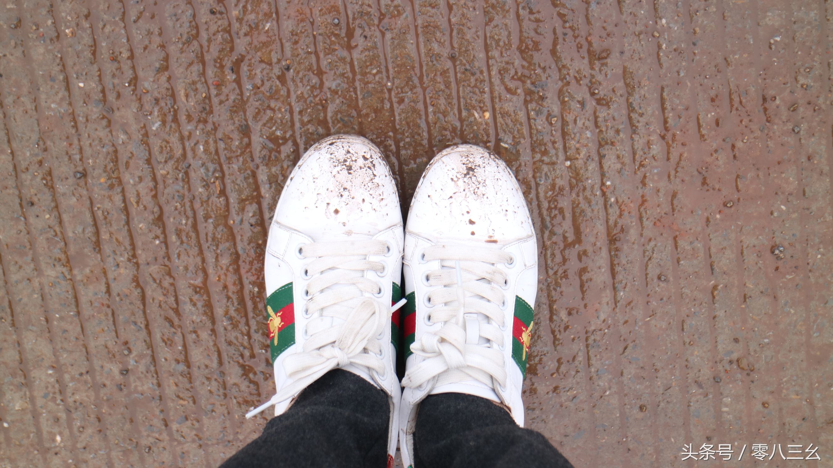 南溪长兴赶场,南溪区南溪镇赶集视频