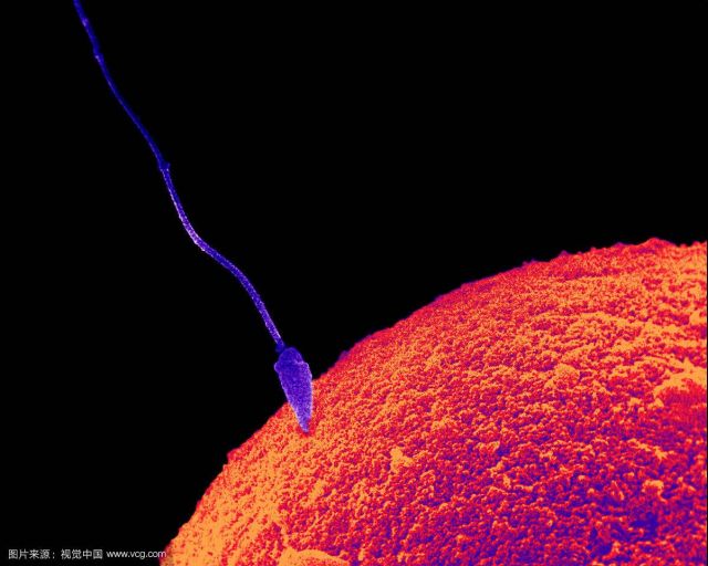 全都太有才了！NGA论坛水友集体COSPLAY魔兽世界技能图标