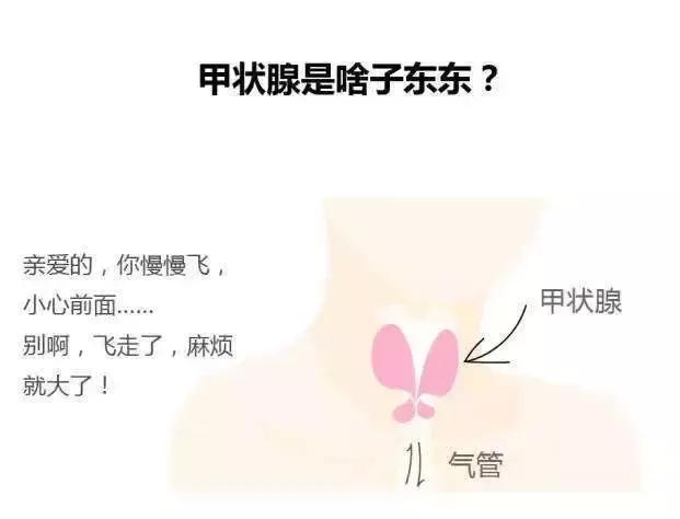 小秘密：常说的甲状腺结节，不治疗会怎么样？